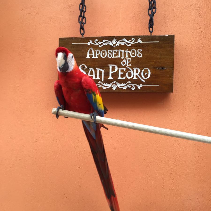 ホテル Aposentos De San Pedro Cartagena エクステリア 写真